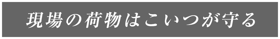 現場の荷物はこいつが守る
